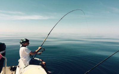 Fishing in Croatia on the island Dugi otok