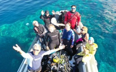 Diving research on the island of Dugi otok